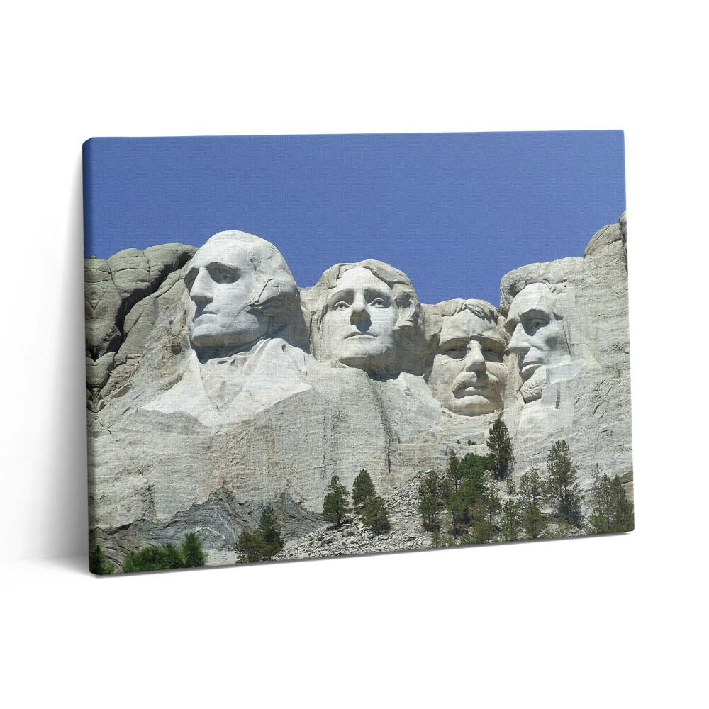 Obraz z fotografie na plátně 80x60 cm Prezidenti Spojených států