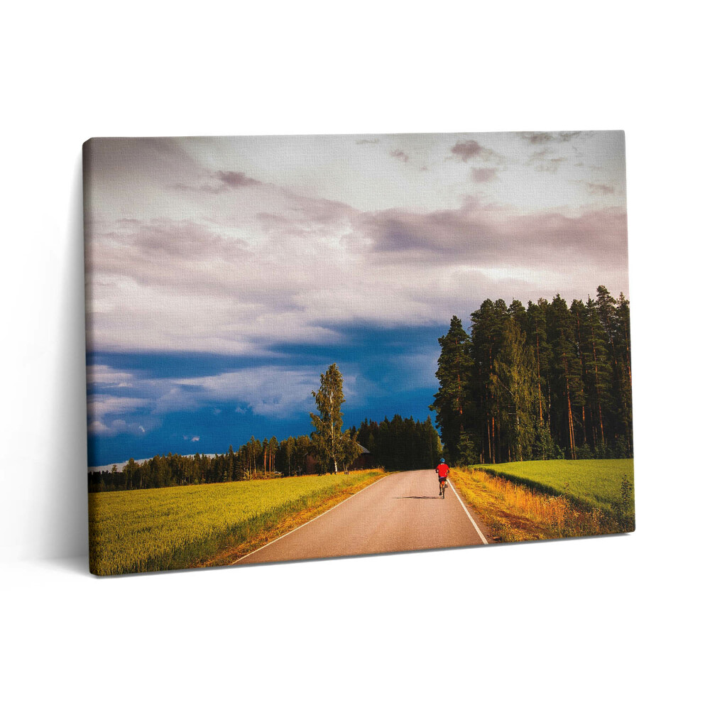 Obraz na plátně 80x60 cm Uklizená cyklostezka