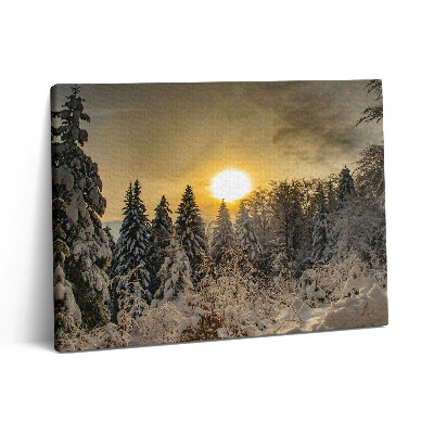 Obraz z fotografie na plátně 80x60 cm Zimní krajina Beskyd