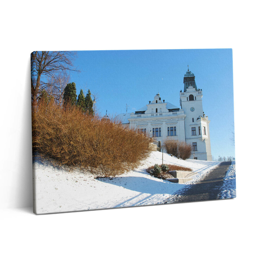 Obraz z fotografie na plátně 80x60 cm Město Ostrava v zimě