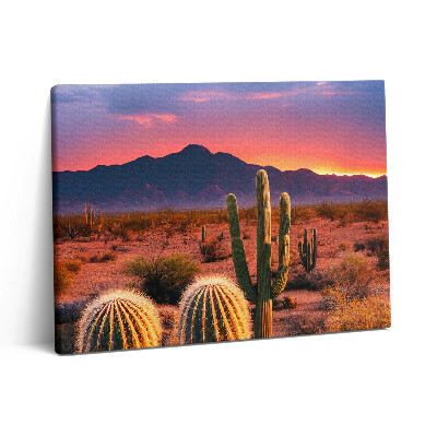 Obraz z fotografie na plátně 80x60 cm Západ slunce v poušti