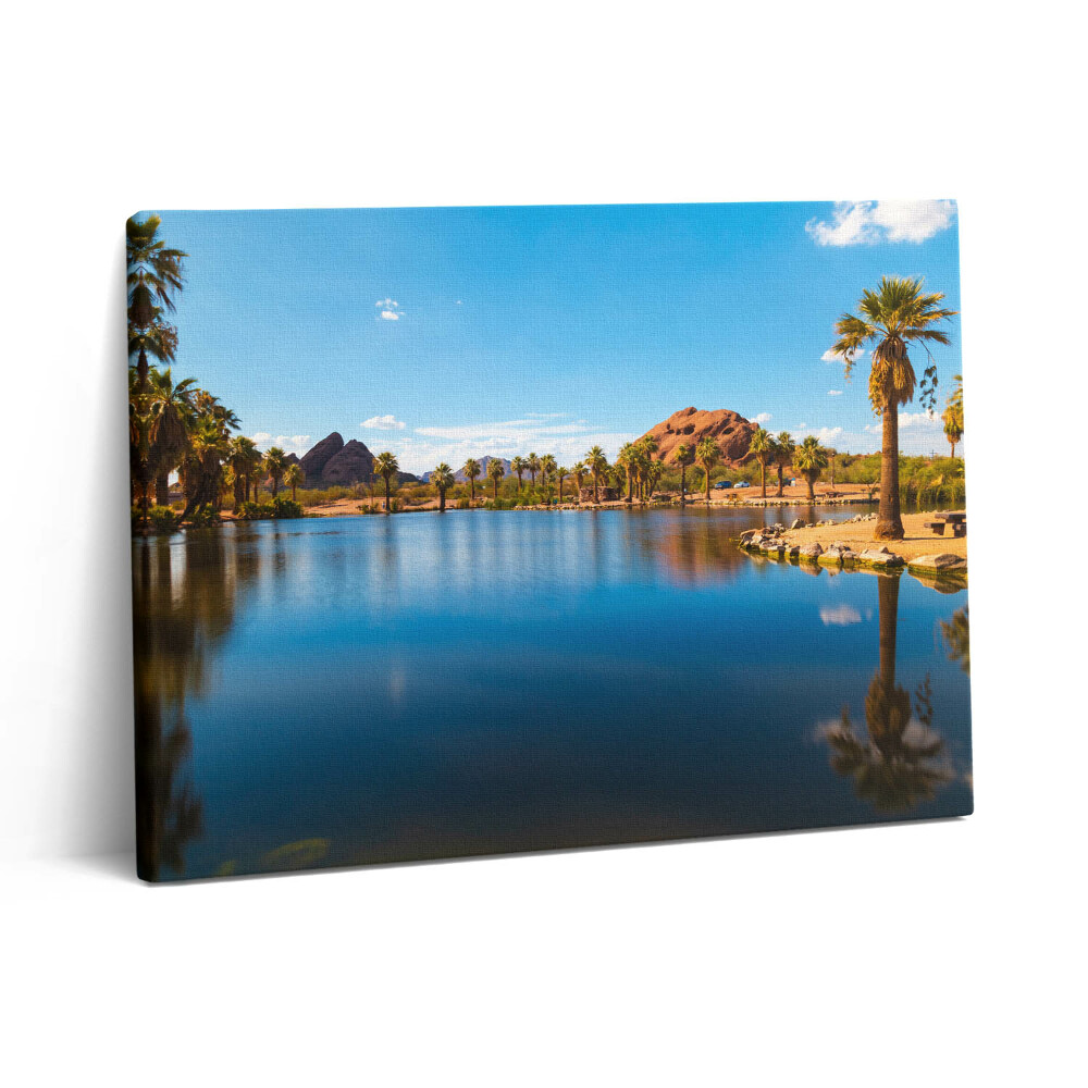 Obraz z fotografie na plátně 80x60 cm Krajina parku Papago