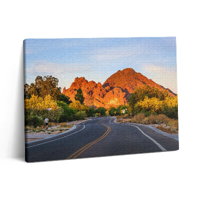 Obraz z fotografie na plátně 80x60 cm Pohled na horu Camelback