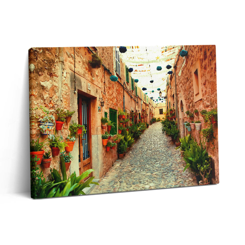 Obraz z fotografie na plátně 80x60 cm Ulice ve vesnici Valldemossa