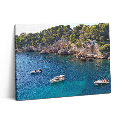 Obraz na plátně 80x60 cm Krajina na Cap d'Antibes