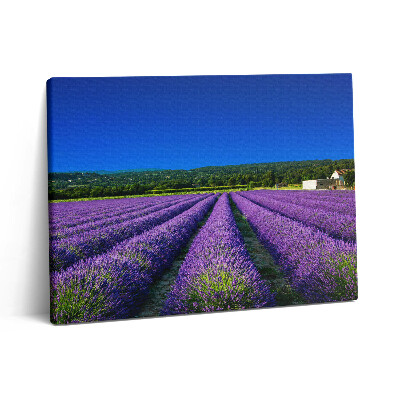 Obraz z fotografie na plátně 80x60 cm Levandulové pole v Provence
