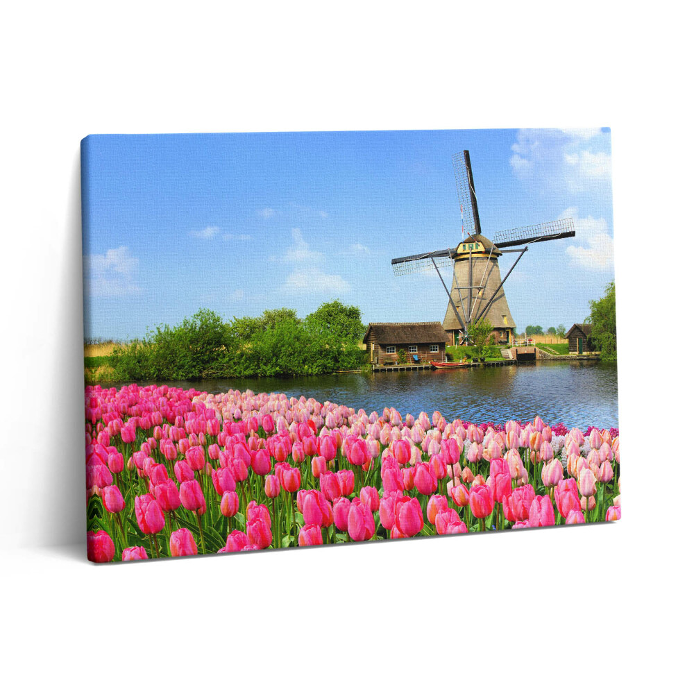Obraz na plátně 80x60 cm Holandský větrný mlýn s květinami