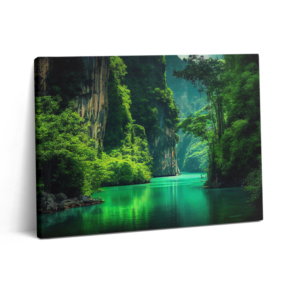 Obraz na plátně 80x60 cm Cesta do Thajska