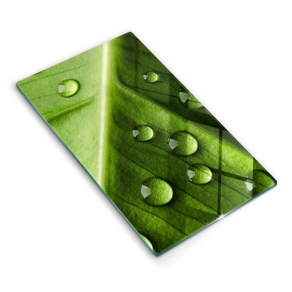 Ochranná deska za plynový sporák Přírodní rosa a list