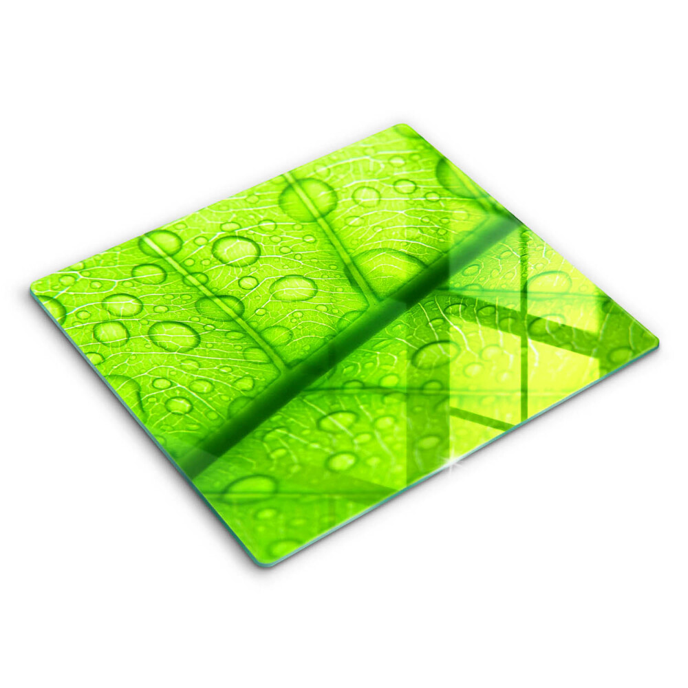 Sklo za sporák 60x52 cm Detail listu