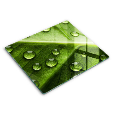 Krycí deska na sporák 60x52 cm Příroda rosa a list