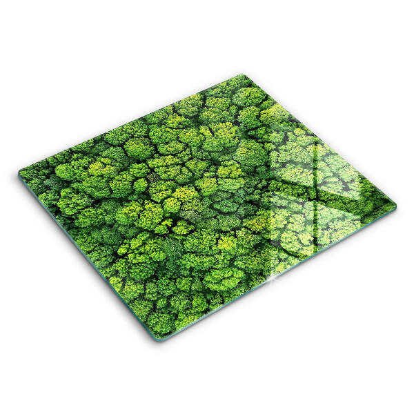 Kryt na indukční desku 60x52 cm Přírodní mechové rostliny