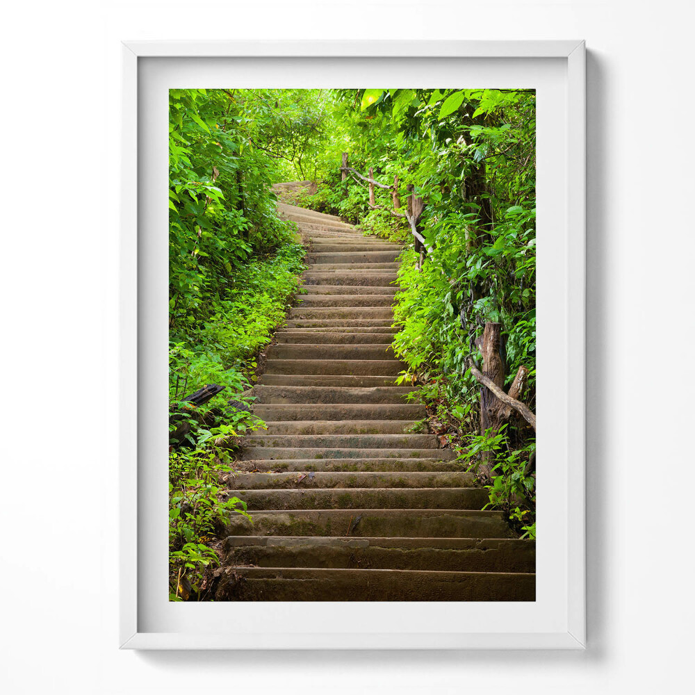 Obraz v rámu Schody uprostřed lesa