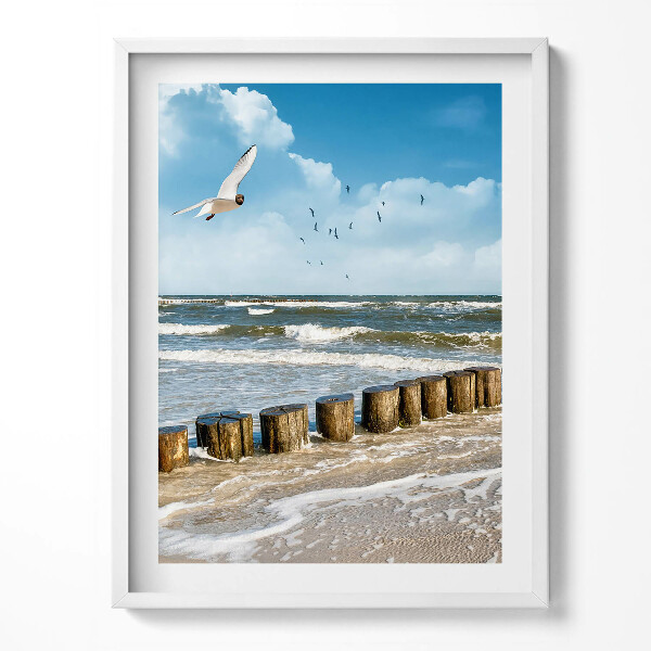 Obraz v rámu Pták u moře