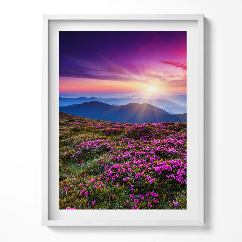 Obraz v rámu Východ slunce květiny