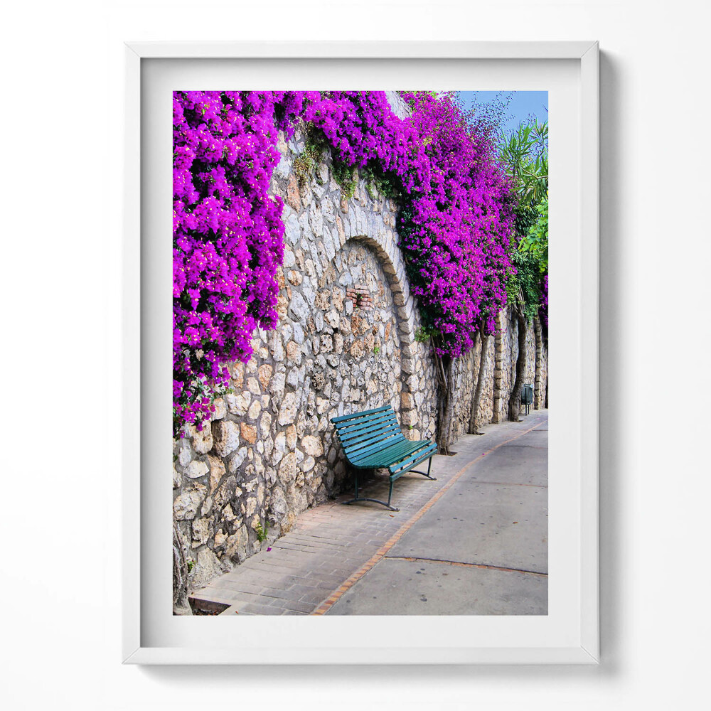 Obraz v rámu Cesta s květinami v Capri, Itálie