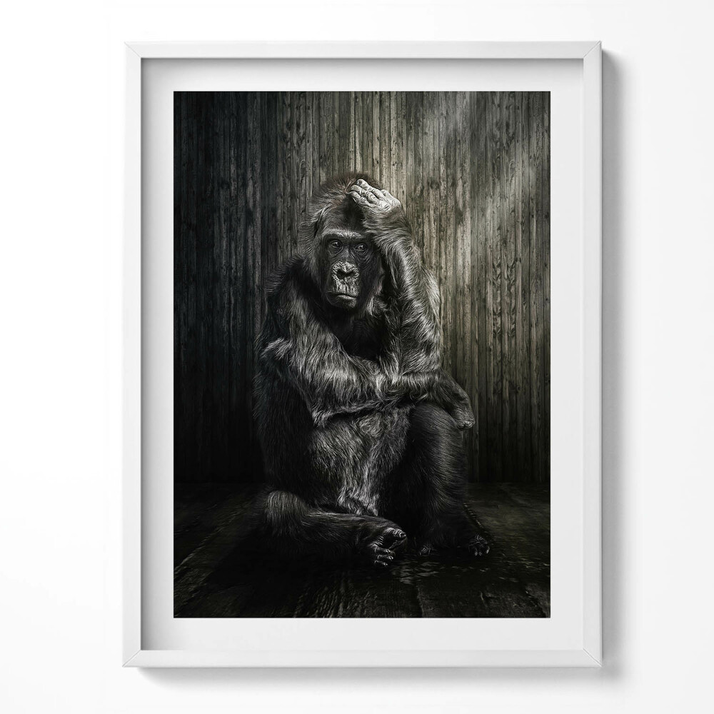 Obraz v rámu Opice dumající ve stínu