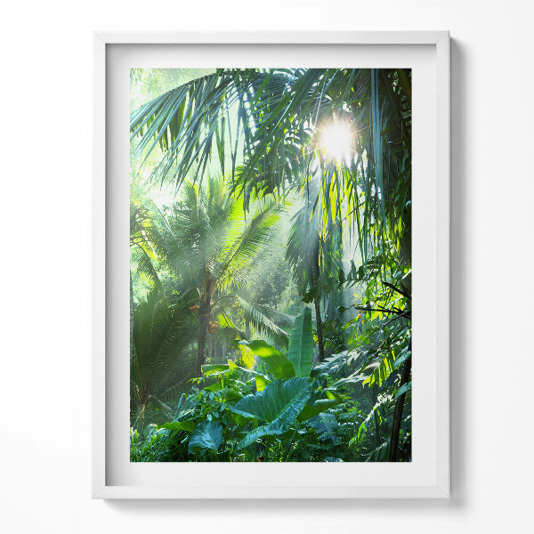 Obraz v rámu Zelená džungle plná rostlin
