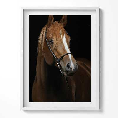 Obraz v rámu Hnědý kůň