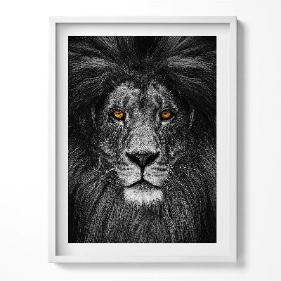 Obraz v rámu Černá a bílá hlava lva