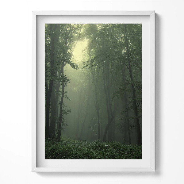 Obraz v rámu Mlžný les ráno