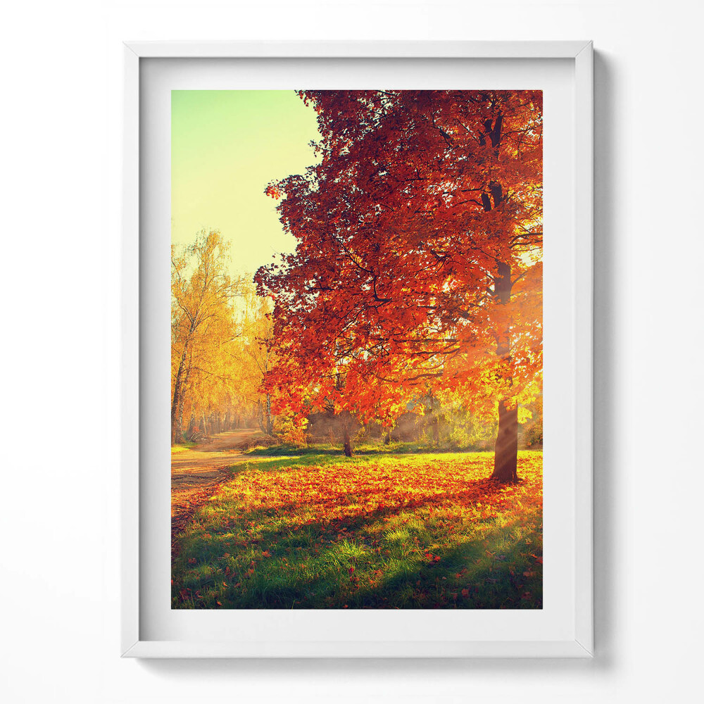 Obraz v rámu Podzimní park