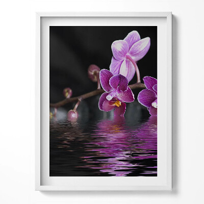Obraz v rámu Růžový květ orchideje na vodě
