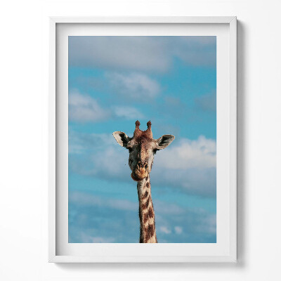 Obraz v rámu Hlava žirafy proti obloze