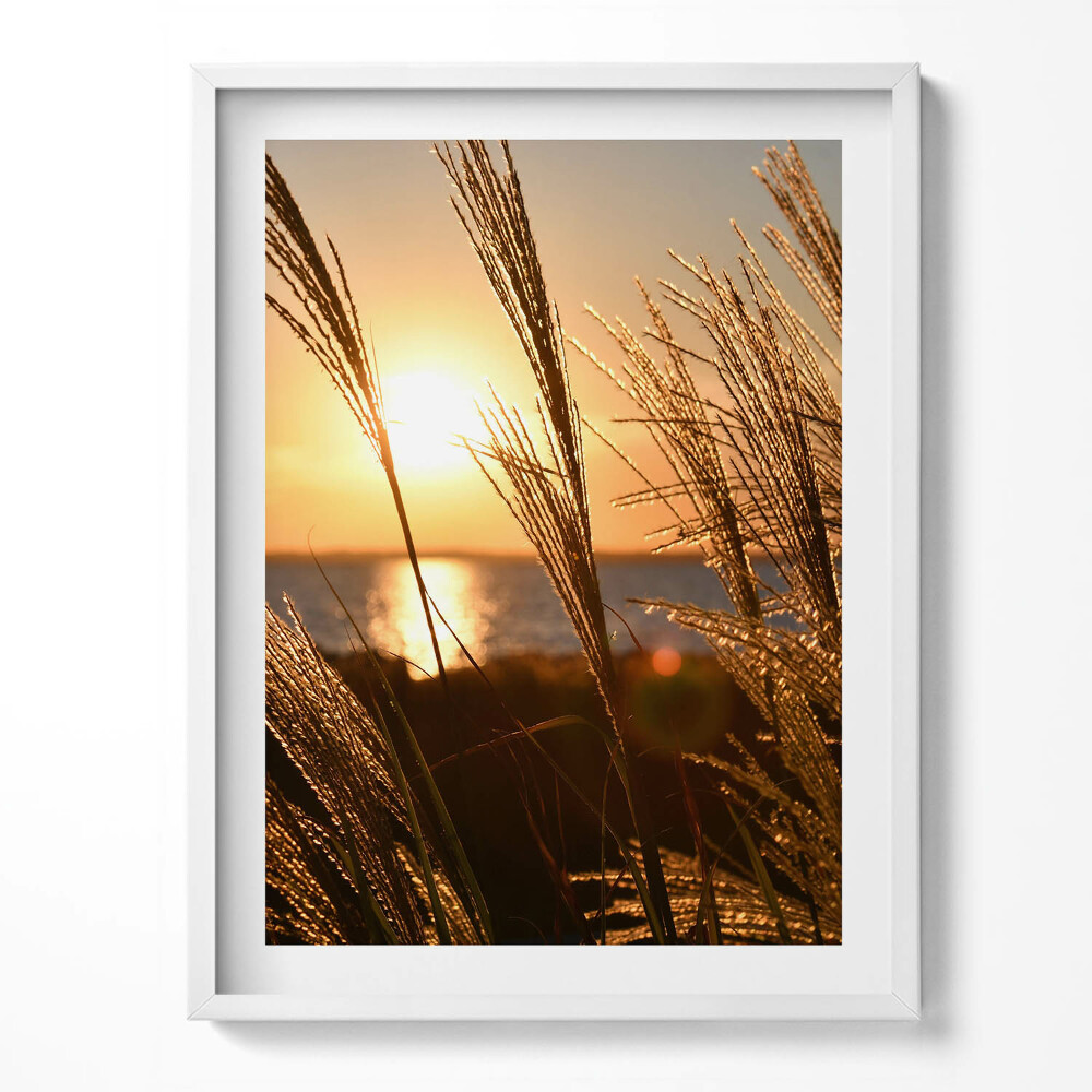 Obraz v rámu Pšenice ve Zlaté hodině