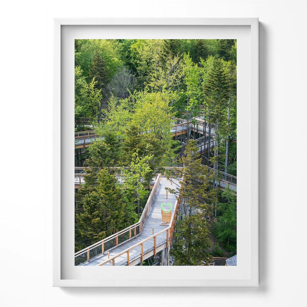 Obraz v rámu Stezka v Krynici Zdrój