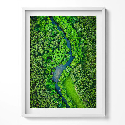 Obraz v rámu Řeka v lese