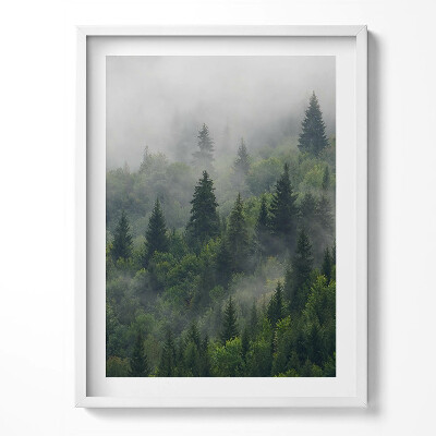Obraz v rámu Lesní krajina v mlze