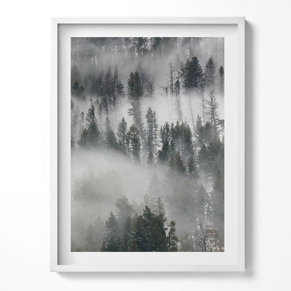 Obraz v rámu Zamlžená lesní krajina