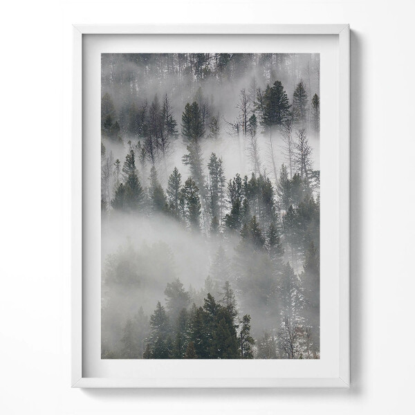 Obraz v rámu Zamlžená lesní krajina
