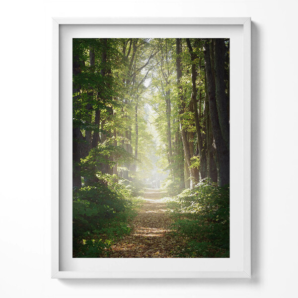 Obraz v rámu Lesní cesta mezi stromy