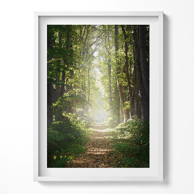 Obraz v rámu Lesní cesta mezi stromy