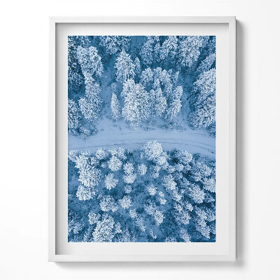 Obraz v rámu Les z ptačí perspektivy