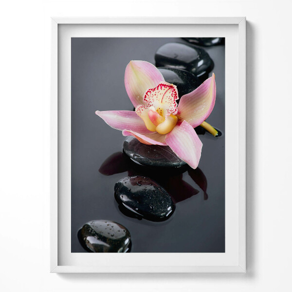 Obraz v rámu Květina na kamenech ve vodě