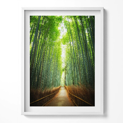 Obraz v rámu Bambusový les Arashiyama Kjóto Japonsko