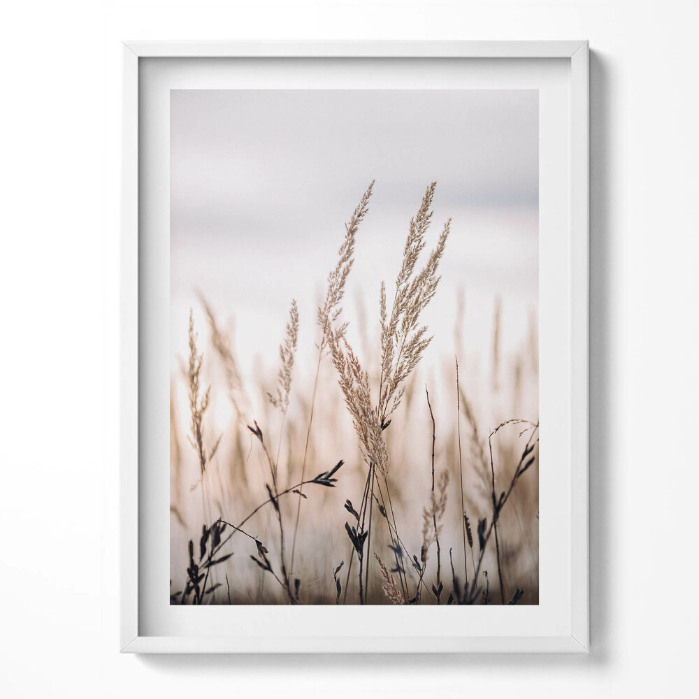 Obraz v rámu Boho romantická krajina jemných travin
