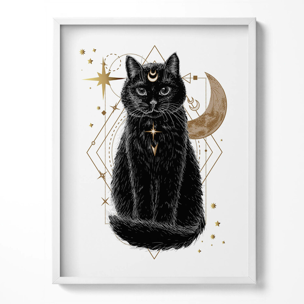Obraz v rámu Kouzelná černá kočka a prostor