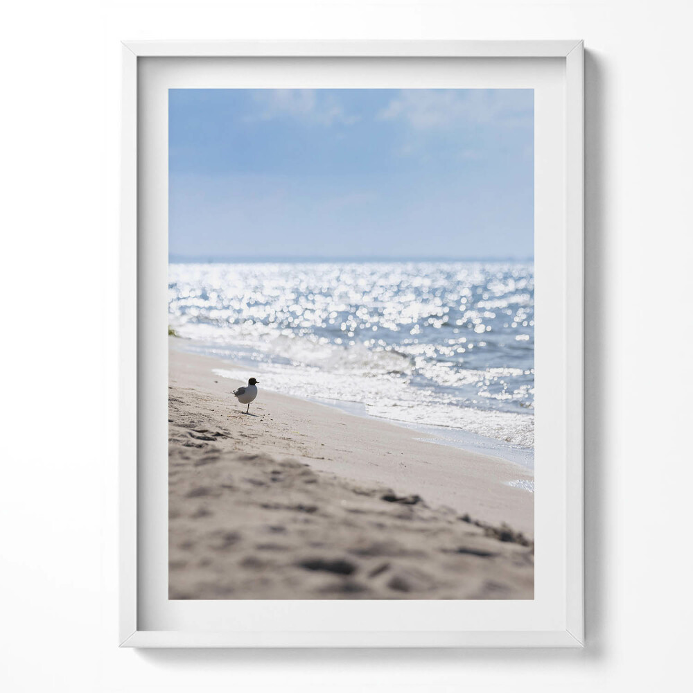 Obraz v rámu Mořské vlny a pták na pláži