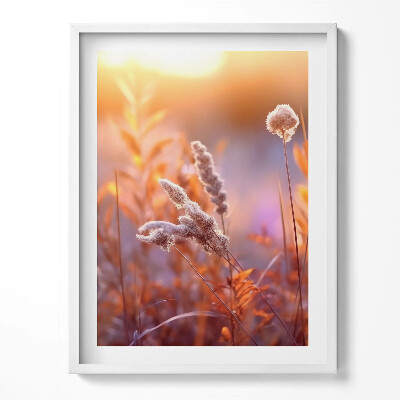 Obraz v rámu Boho tráva při východu slunce