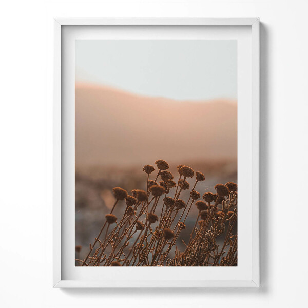 Obraz v rámu Boho romantická tráva krajina