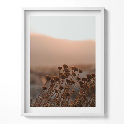 Obraz v rámu Boho romantická tráva krajina