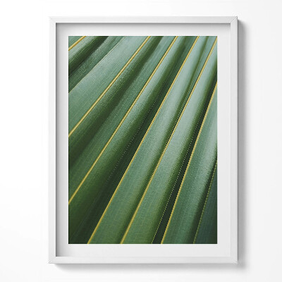 Obraz v rámu Zelená rostlina textura