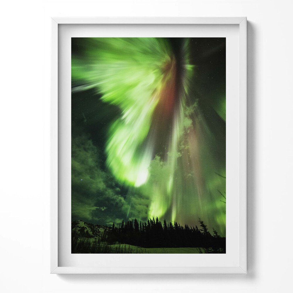 Obraz v rámu Zelená polární záře nad lesem