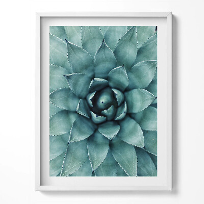 Obraz v rámu Zelená sukulentní rostlina