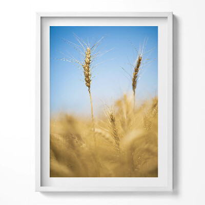 Obraz v rámu Klasy proti obloze