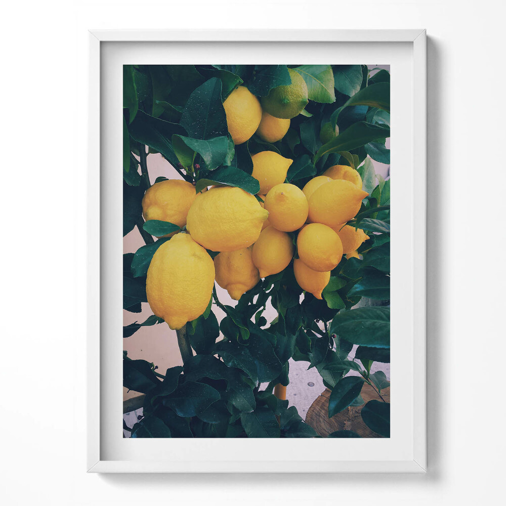 Obraz v rámu Zralé žluté citrony